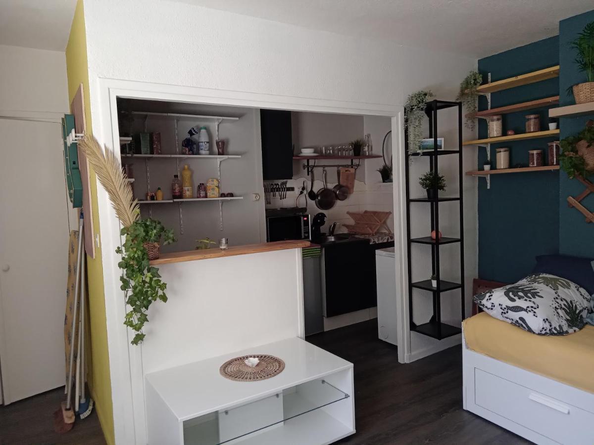 Calme, Hyper Centre. Appartement